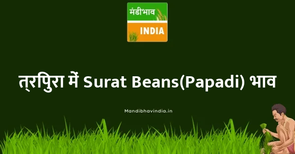 Surat Beans(Papadi) भाव